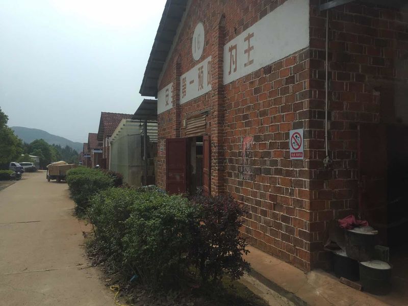 Chiny Liuyang Mandarin Fireworks Co., Ltd. profil firmy