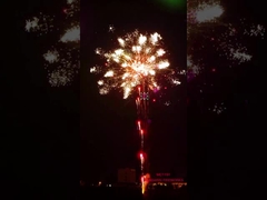 Liuyang Pirotechnika Fajerwerki 196 strzałów Profesjonalny tort Fajerwerki Pokaz efektów specjalnych