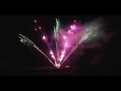 Chińska pirotechnika na zewnątrz 300 strzałów profesjonalne fajerwerki wyświetlacz 1,3 g w kształcie wentylatora