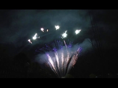 Mandaryński ekran 90 strzałów Salute Pyrotechnika Profesjonalne torty fajerwerki na imprezę