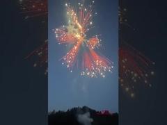 Liuyang Silver Ponytail Fireworks Cakes 2024 Chińska Fabryka Pieprzenia & Fireworks Consumer Cakes