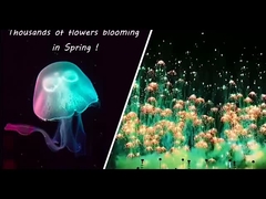 Nowy Rok Zabawki Fajerwerki Meduzie Konsumencka Nowość Fajerwerki Skyshots Pyrotechnika