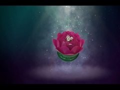 Piękny grunt lotosowy / zabawki urodzinowe