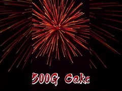 2025 Liuyang Sprzedaż hurtowa 12 strzałów Fireworks torty na zamówienie Chiński 500g Cake Fireworks do świętowania
