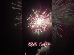 Hurtownia fabryczna fajerwerków Liuyang Mandarin Paper Fireworks 1.4g Pirotechnika 2 cale 25 strzałów Ciasto Fajerwerk