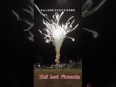 Chińska hurtowa pirotechnika Wolf Howl Cake Fireworks Feuerwerk Pirotechnia Fuochi D'artificio
