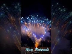 Fabryka 0,8 cala 300 strzałów 1,3 g profesjonalny tort fajerwerki wyświetlacz fajerwerki pirotechnika Salute