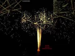 100 strzałów Festiwalowy Tort Fajerwerki Pokaz Wydarzenia Plenerowe Profesjonalna Pirotechnika 1.3G Fajerwerki