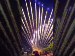 Chińska fabryka fajerwerków z możliwością personalizacji 1.3G Profesjonalne fajerwerki tortowe Boże Narodzenie Festiwal Ślub