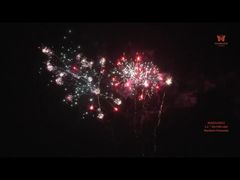 Chinese Factory Customizable Fireworks Outdoor 1.3g Pyrotechnics 1.2'' 25 Shots Fireworks 