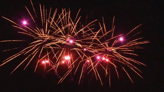 Outdoor 20 Shots Celebration Cake Pirotechnika W kształcie wentylatora Dostosowane 1,4g