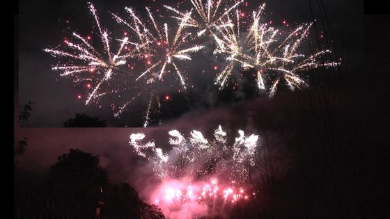 Liuyang Fireworks 1.3g Un0335 Pyrotechnika 56 Strzałów Profesjonalny pokaz Fireworks 1.3g Dla świętowania festiwalu