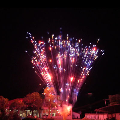 Fajerwerki Pyrotechnika Chińska Fabryka 1,2 cali 24 strzały Ciasto Fajerwerki Do Świętowania 1,4 g Un0336 Pyrotechnika