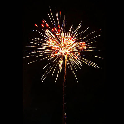 Liuyang Pyrotechnics 100 Strzałów Konsumencki Sprzedaż hurtowa Torta Fajerwerki 2025 Nowy fajerwerki w niesamowity efekt Fajerwerki Torta