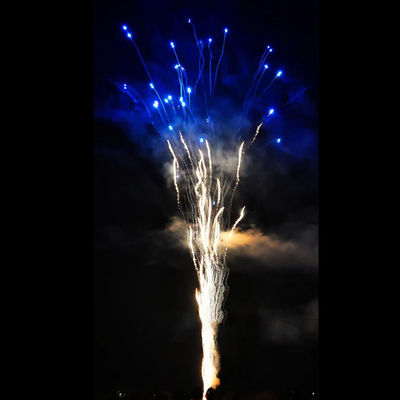 Chińska Fabryka Sprzedaż hurtowa Fireworks niebieskie na zamówienie Pyrotechnika 100 strzałów 1.4G Konsumenci Wyjście wilk Cake Fireworks For Party