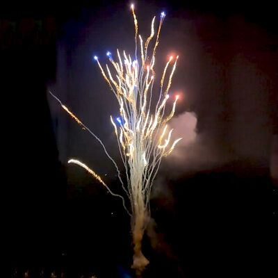 Chińska fabryka na zamówienie 100 strzałów Wyjące wilki Tortowe fajerwerki Hurtowa pirotechnika Nowe fajerwerki na Nowy Rok Boże Narodzenie Wesele Uroczystość