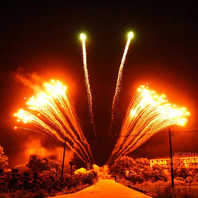 Fabryka Liuyang 1.3G Profesjonalny 12 strzałów Jednorzędowy pokaz fajerwerków Chińska hurtownia Festiwal Nowe fajerwerki Pirotechnika