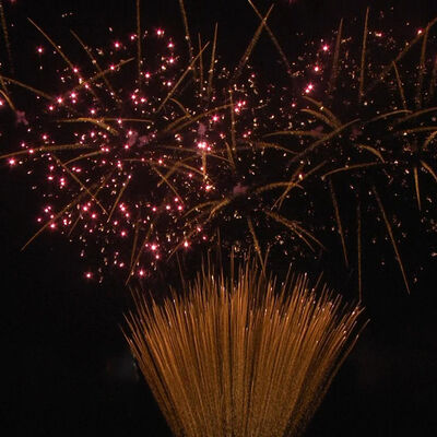 1.2 calowe 100 strzałowe fajerwerki tortowe 1.3G Profesjonalne pirotechniczne z certyfikatem UN0335 do uroczystości na świeżym powietrzu