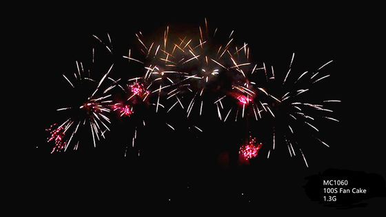 Profesjonalna pirotechnika Salute Cake Fajerwerki 100 strzałów